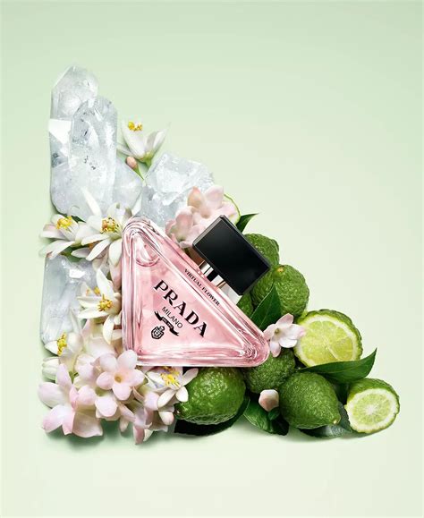 prada flower shop|Prada paradoxe fragrance.